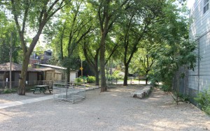 Dogs off-leash area at Hideaway Park